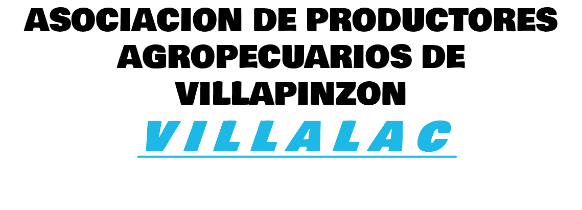 ASOCIACION DE PRODUCTORES AGROPECUARIOS DE VILLAPINZON V I L L A L A C 
